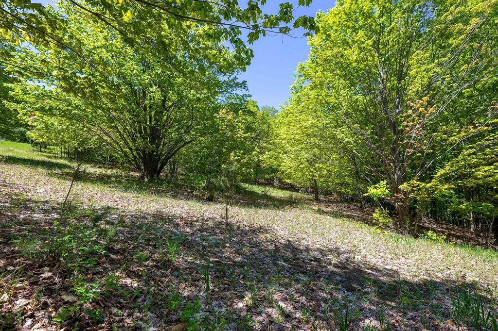 3100 Warren Road Benzonia Township MI 49617