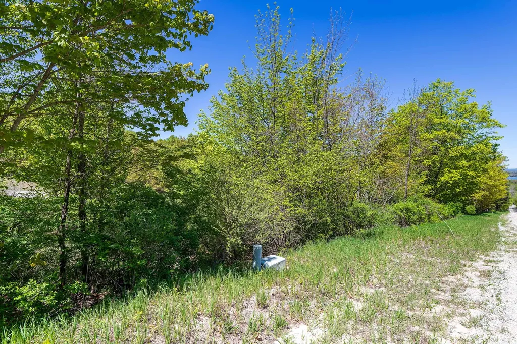 3100 Warren Road Benzonia Township MI 49617