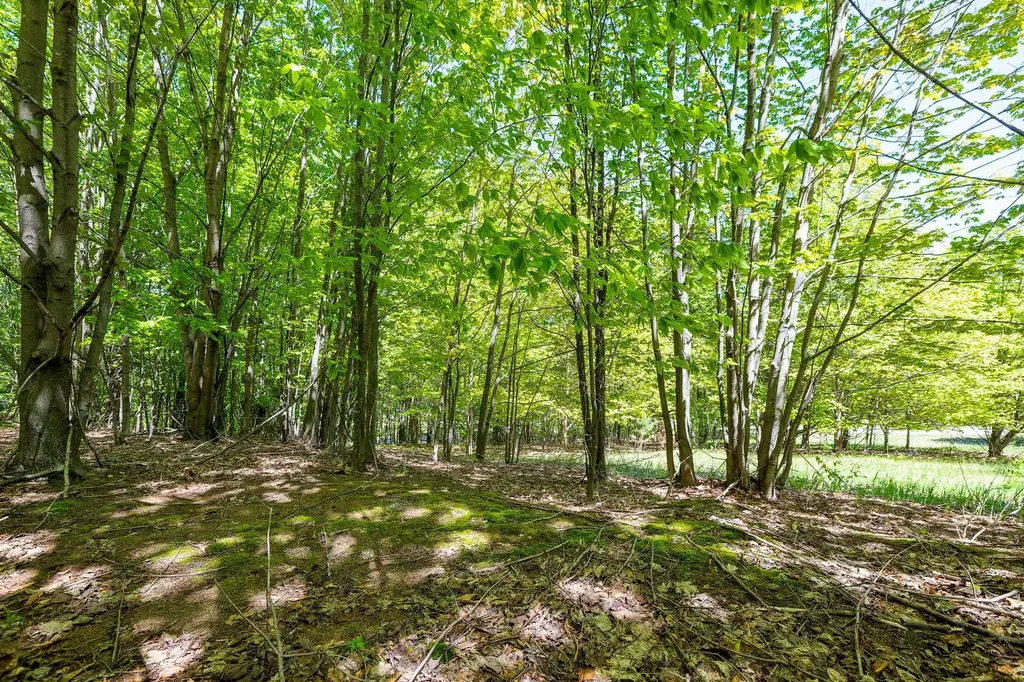 3100 Warren Road Benzonia Township MI 49617
