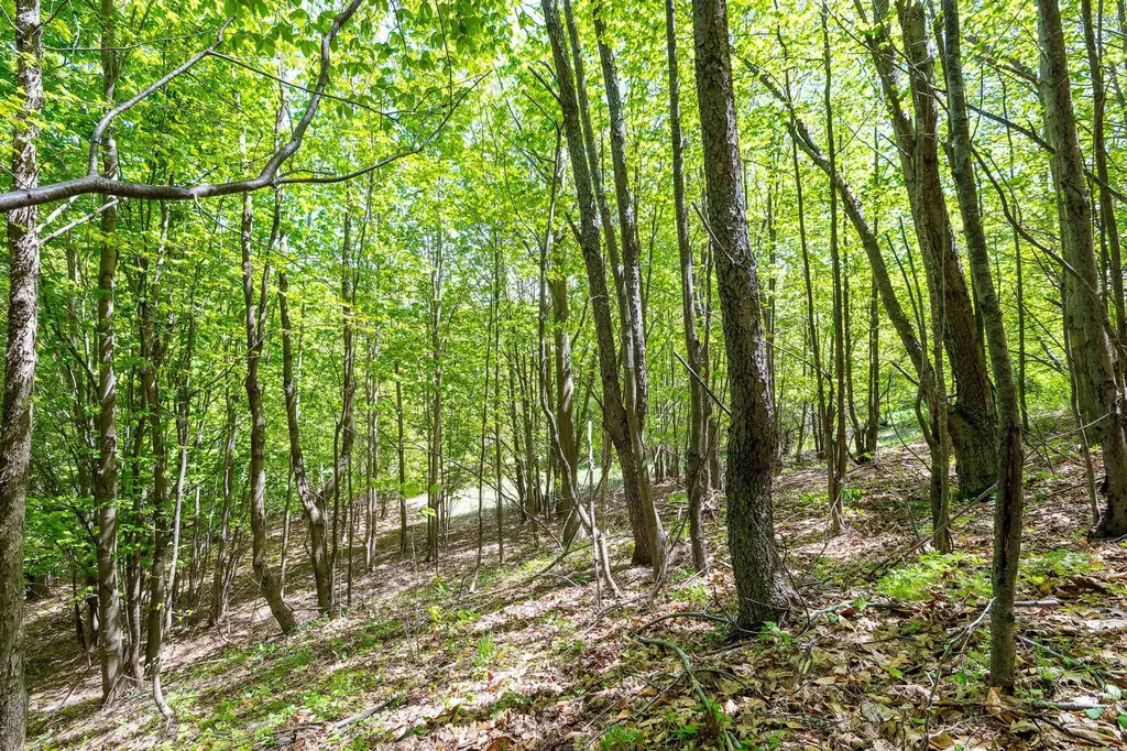 3100 Warren Road Benzonia Township MI 49617