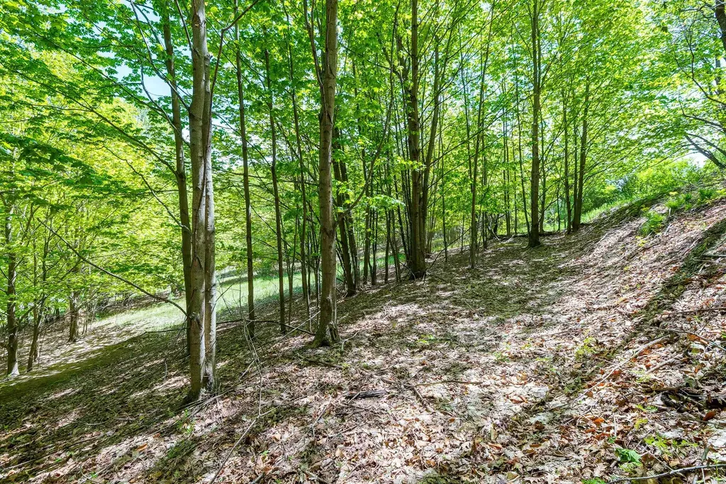 3100 Warren Road Benzonia Township MI 49617