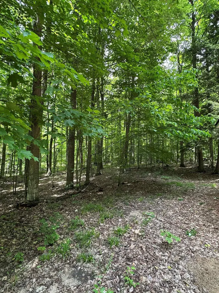 2392 SW Inman Road Boardman Township MI 49680
