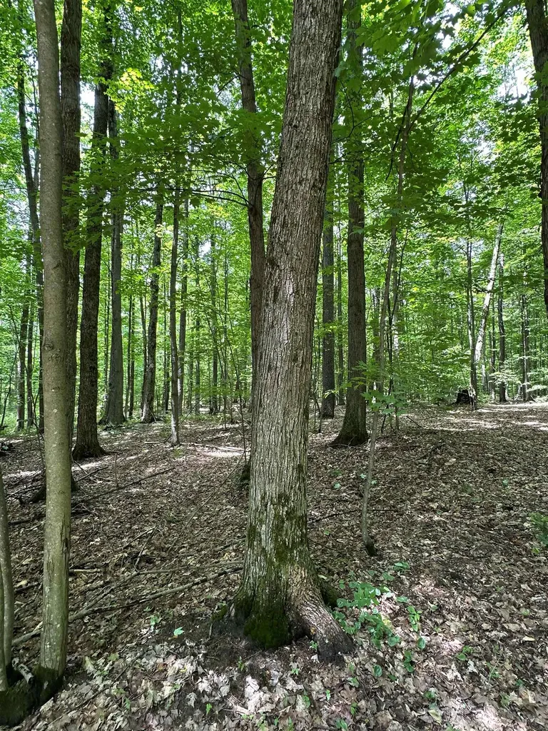 2392 SW Inman Road Boardman Township MI 49680
