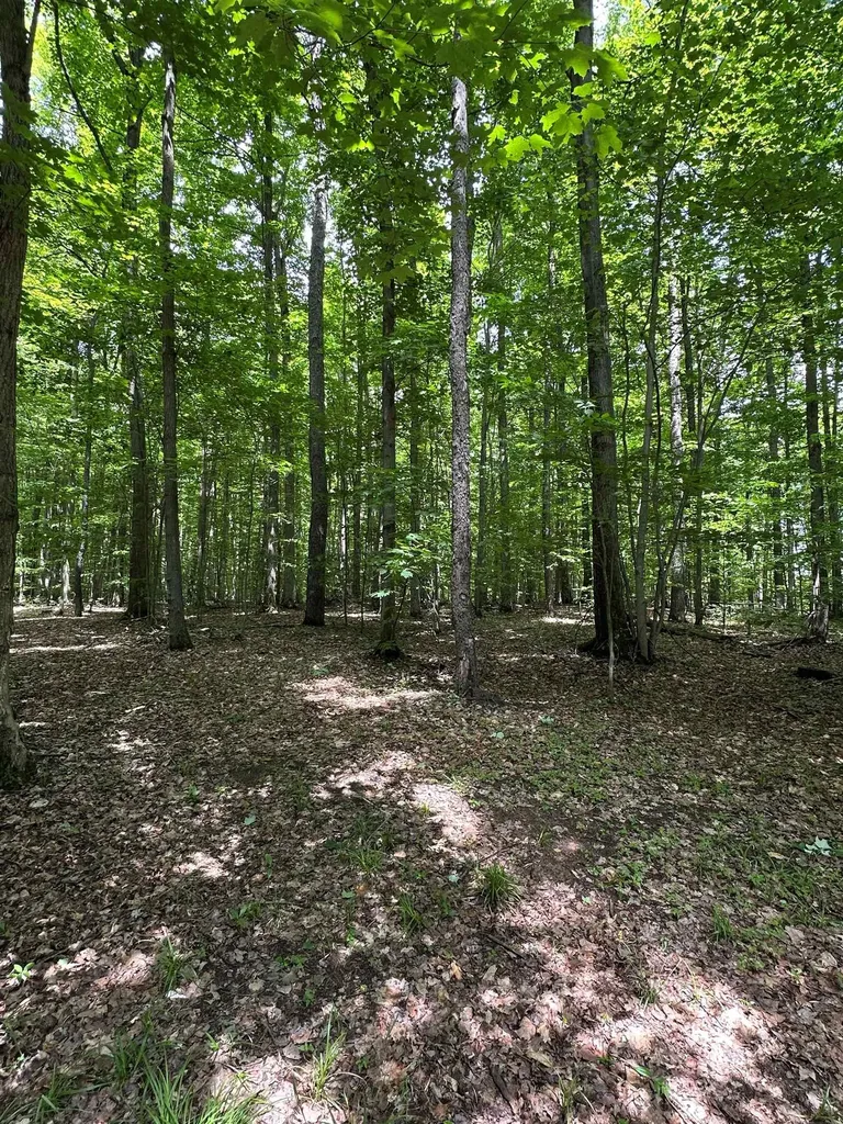 2392 SW Inman Road Boardman Township MI 49680