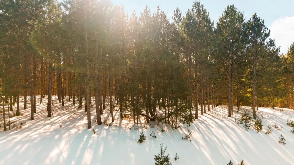4811 Truax Lake Road Whitewater Township MI 49690