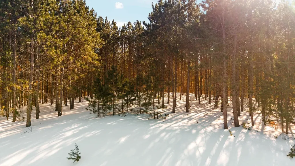 4811 Truax Lake Road Whitewater Township MI 49690