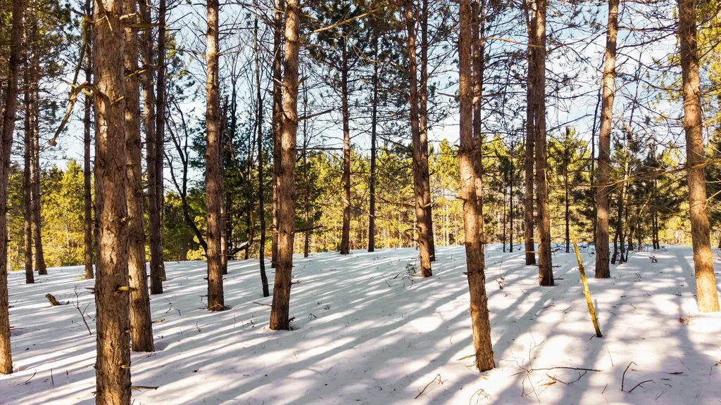 4811 Truax Lake Road Whitewater Township MI 49690