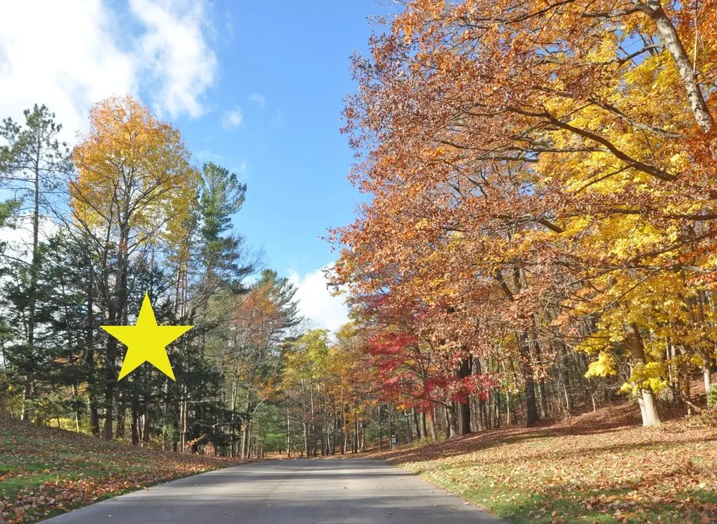 3 Brook Hill Cottages Glen Arbor Township MI 49636