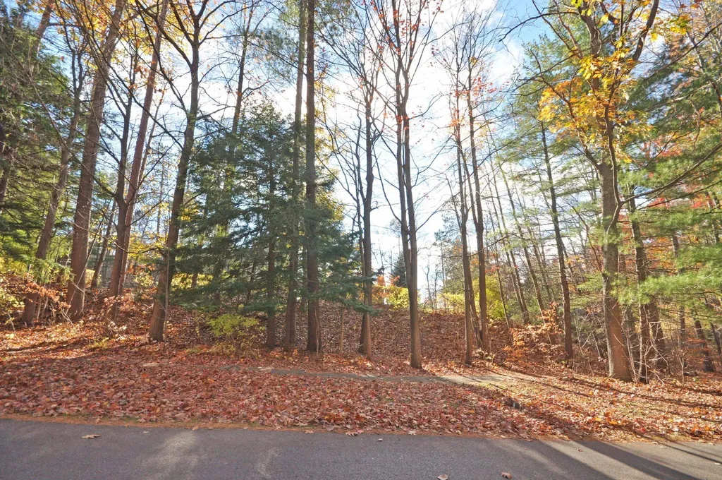 3 Brook Hill Cottages Glen Arbor Township MI 49636