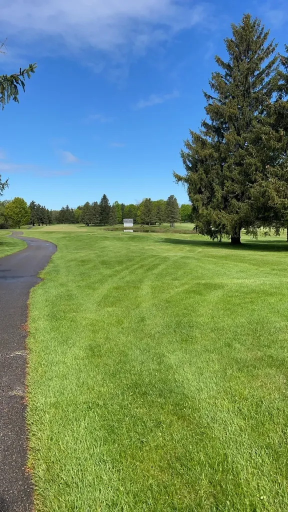 4231 Wolverine Drive Acme Township MI 49690