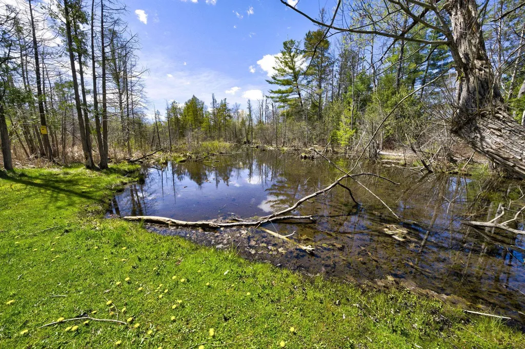 210 Spring Street Paradise Township MI 49649