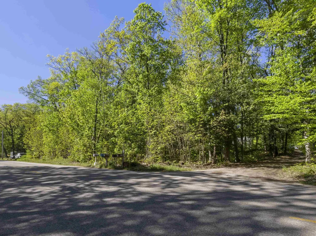 Lots 102-104 Poplar Avenue Lake Township MI 49640