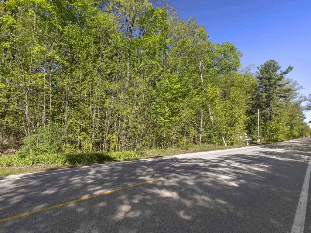 Lots 102-104 Poplar Avenue Lake Township MI 49640