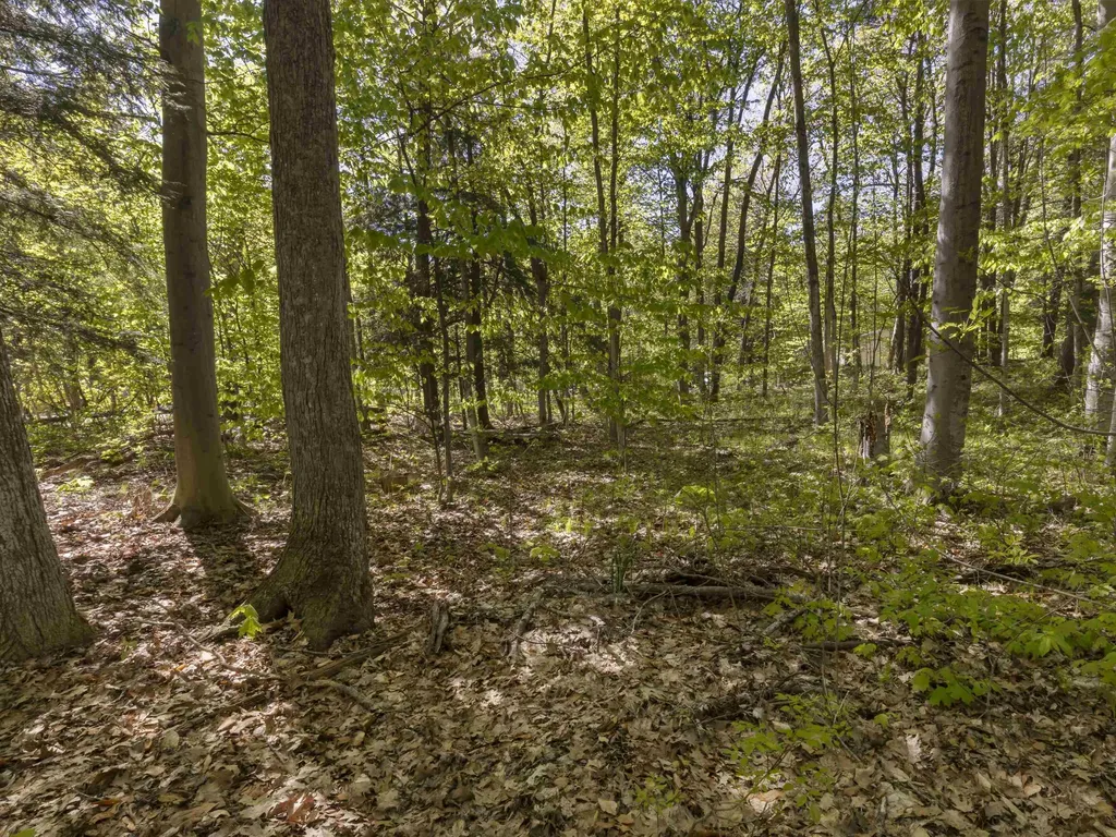 Lots 102-104 Poplar Avenue Lake Township MI 49640