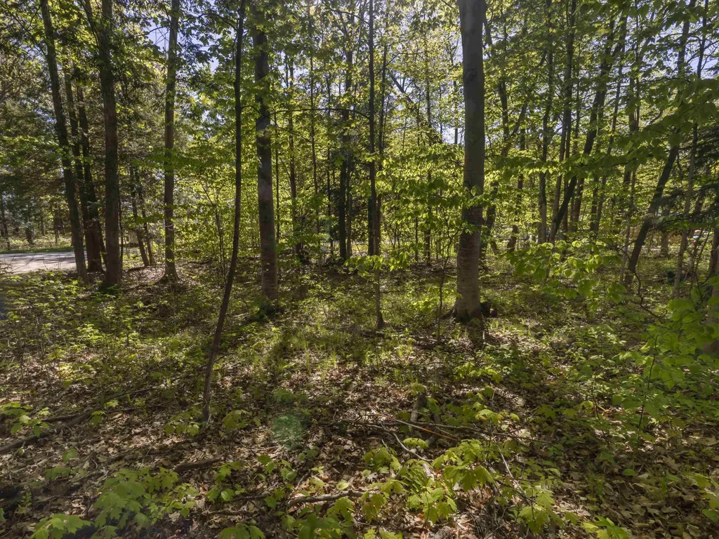 Lots 102-104 Poplar Avenue Lake Township MI 49640