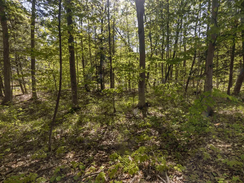 Lots 102-104 Poplar Avenue Lake Township MI 49640