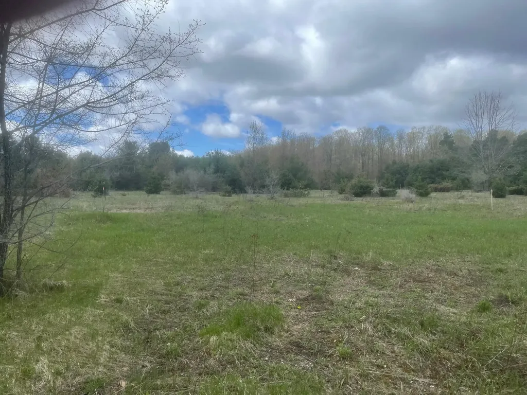 Honor Highway Inland Township MI 49643