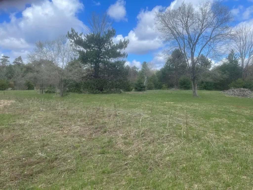 Honor Highway Inland Township MI 49643