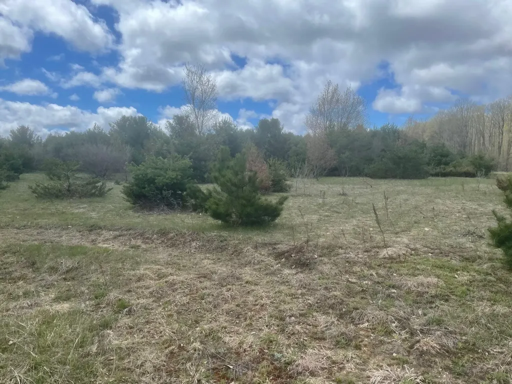 Honor Highway Inland Township MI 49643