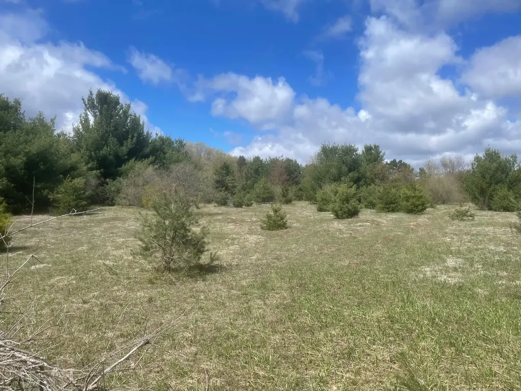 Honor Highway Inland Township MI 49643