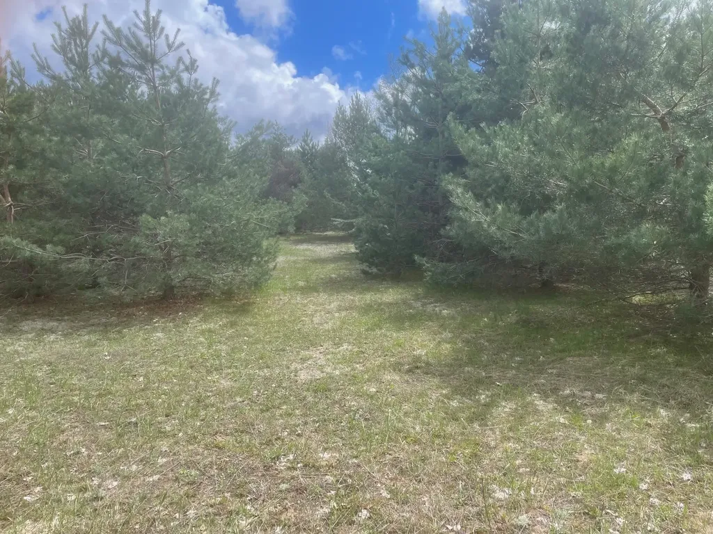 Honor Highway Inland Township MI 49643