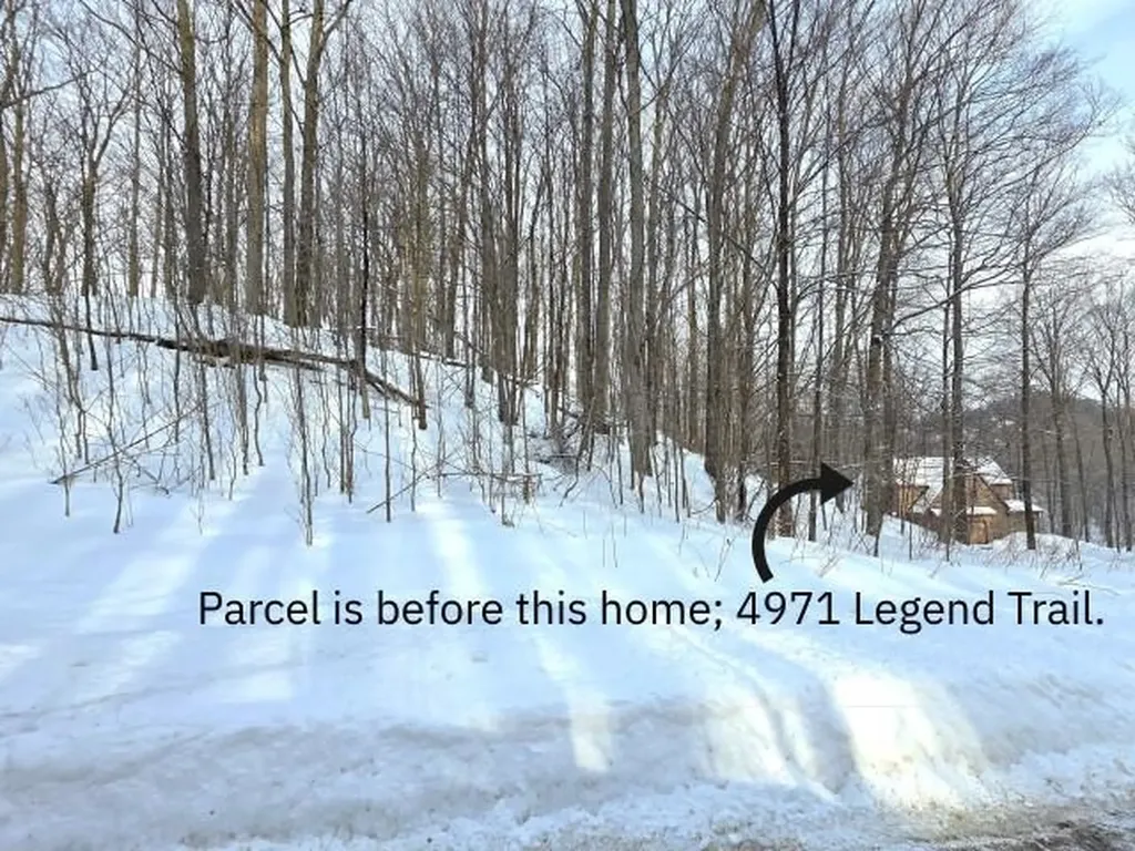 119 Legend Trail Custer Township MI 49615