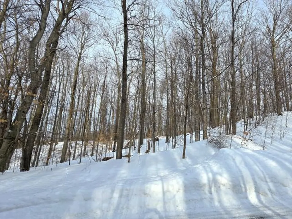 119 Legend Trail Custer Township MI 49615