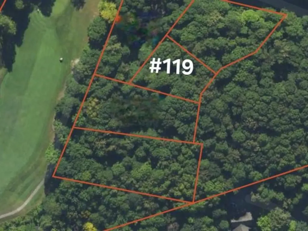 119 Legend Trail Custer Township MI 49615
