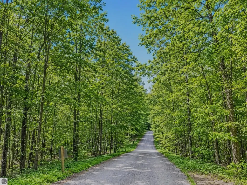 119 Legend Trail Custer Township MI 49615