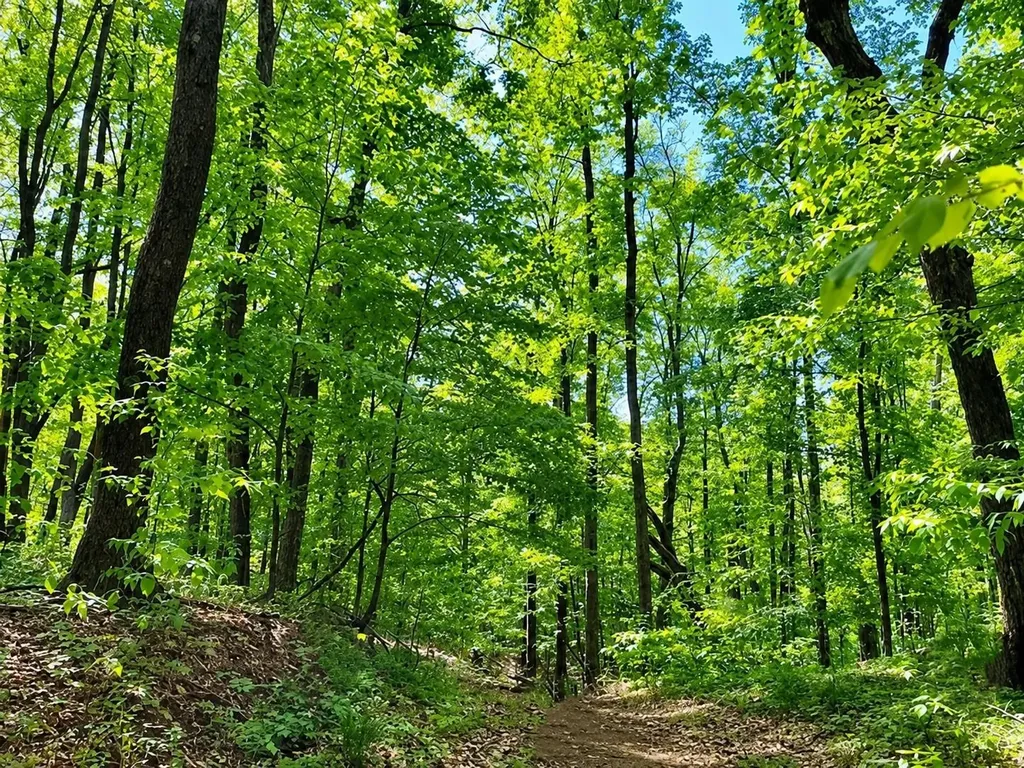119 Legend Trail Custer Township MI 49615