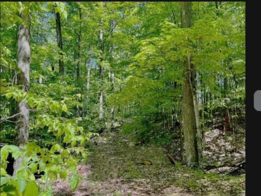 119 Legend Trail Custer Township MI 49615