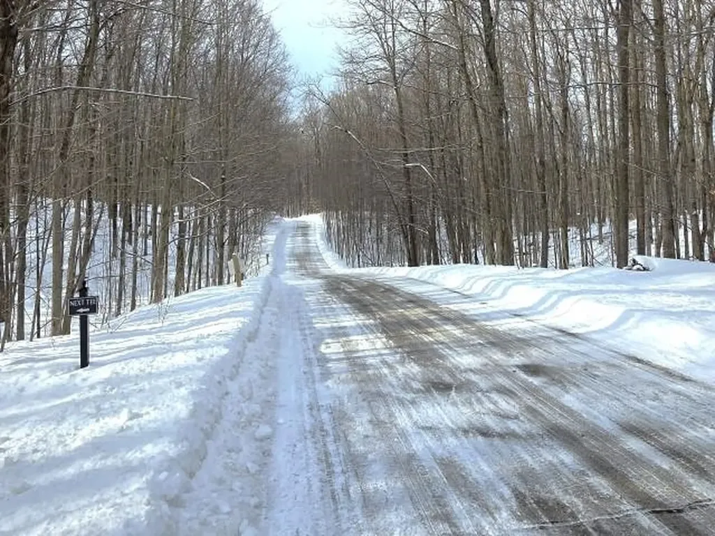 119 Legend Trail Custer Township MI 49615