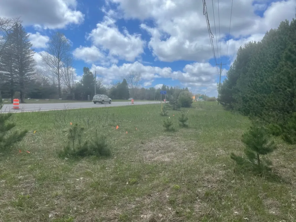 Honor Highway Inland Township MI 49643