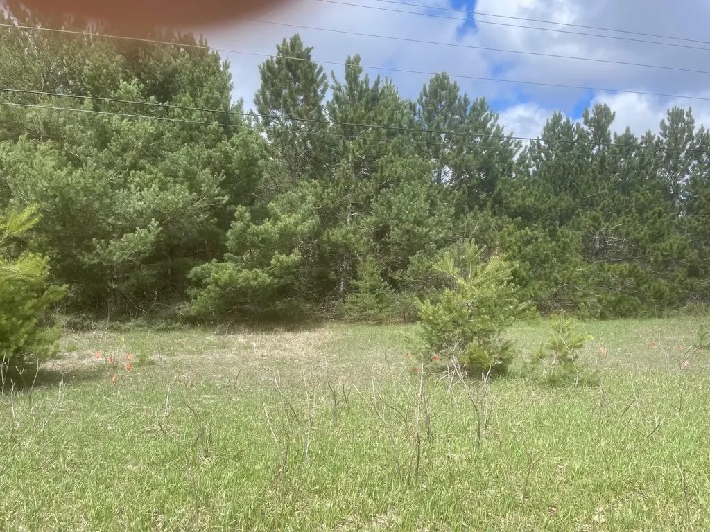 Honor Highway Inland Township MI 49643