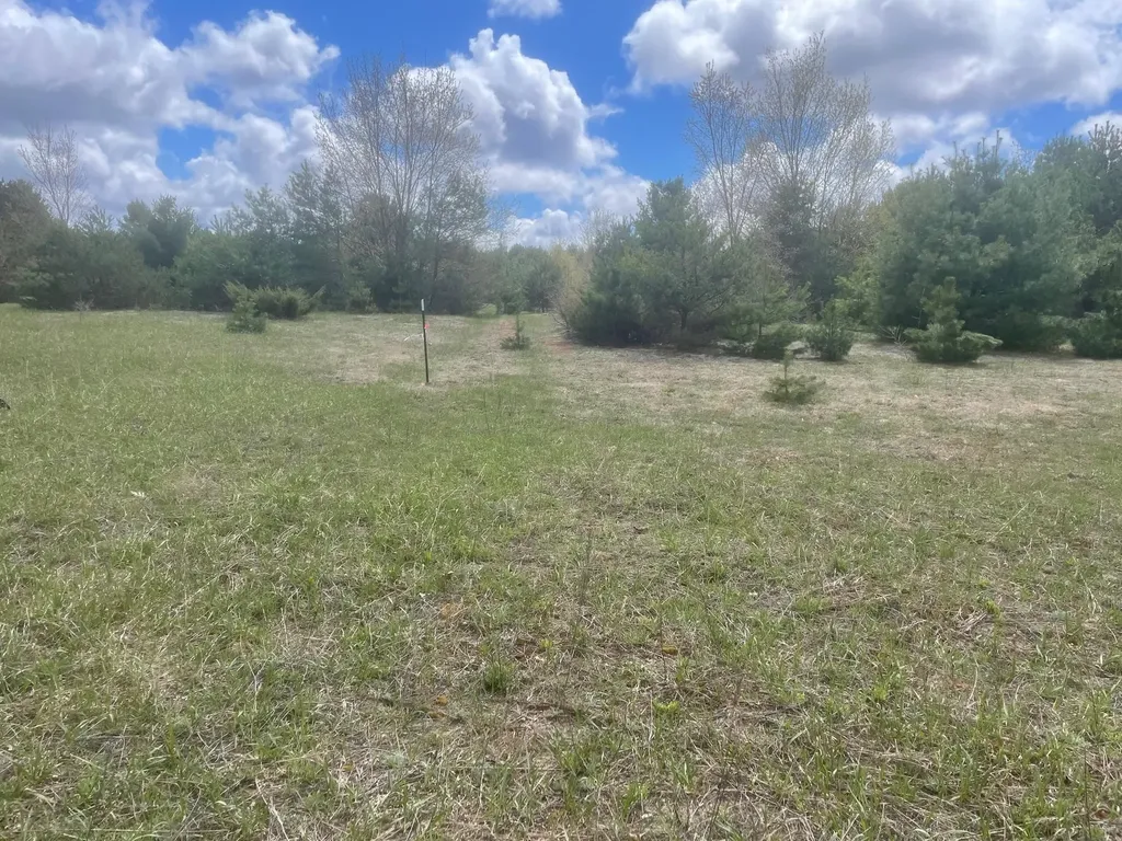 Honor Highway Inland Township MI 49643