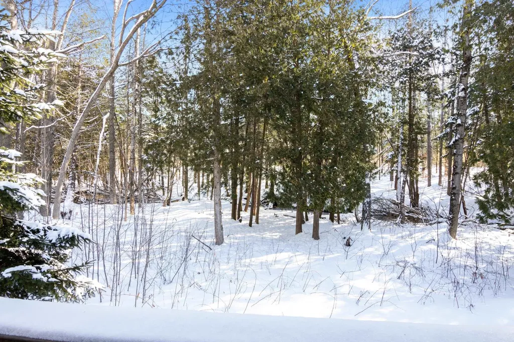 6865 Pinebrook Custer Township MI 49615