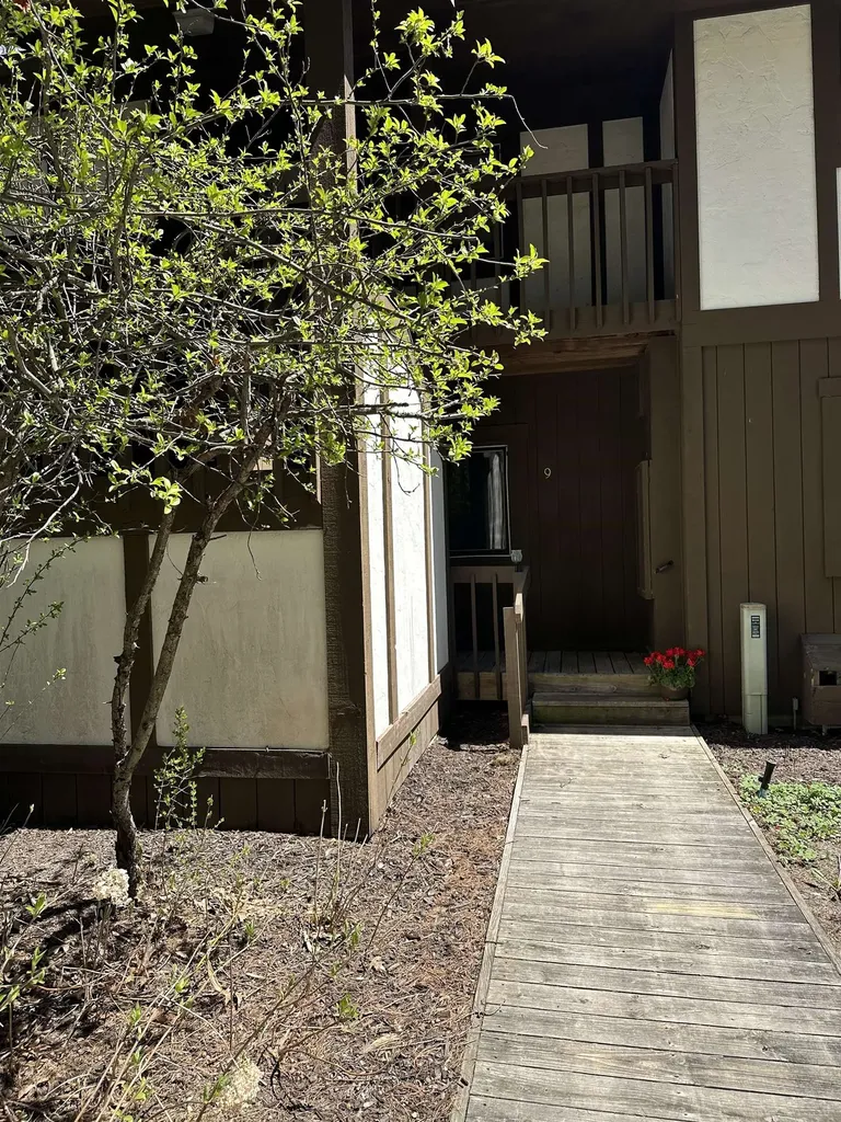 6865 Pinebrook Custer Township MI 49615
