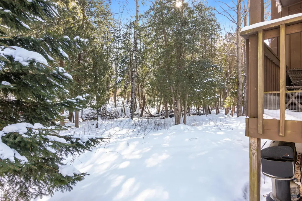 6865 Pinebrook Custer Township MI 49615