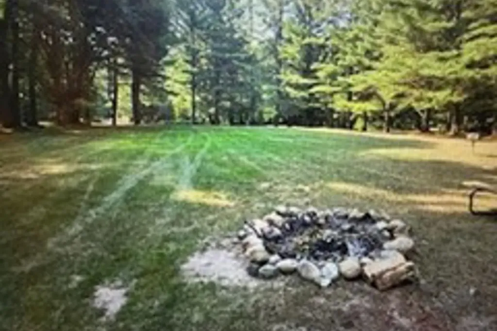 6865 Pinebrook Custer Township MI 49615