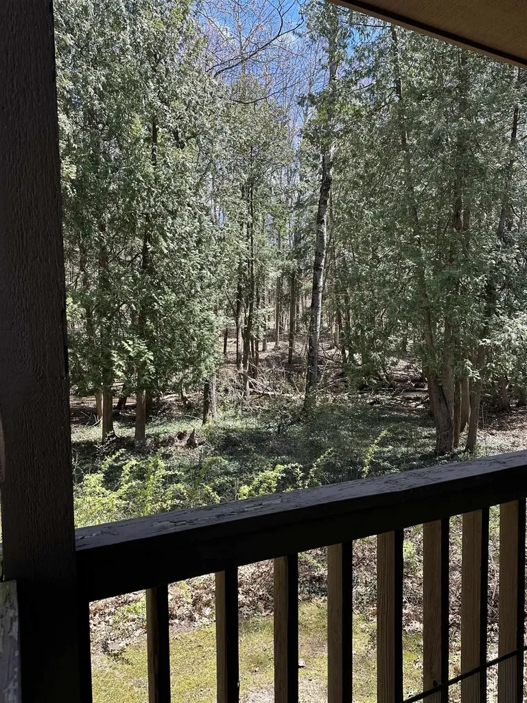 6865 Pinebrook Custer Township MI 49615
