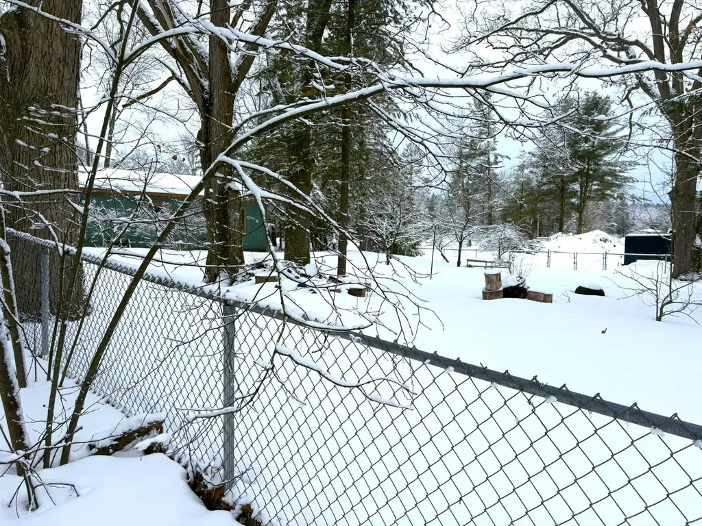 8890 Us-131, S Green Lake Township MI 49637