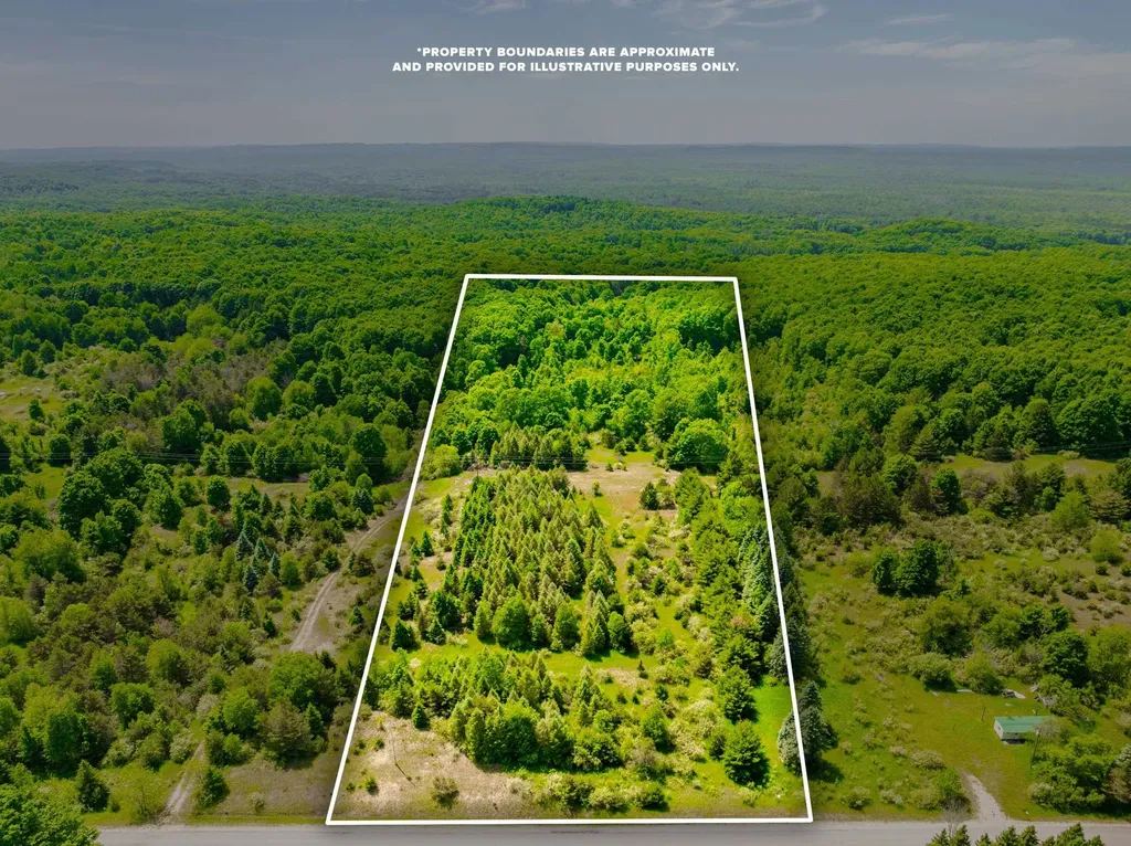 Tbd Traverse Road Colfax Township MI 49683