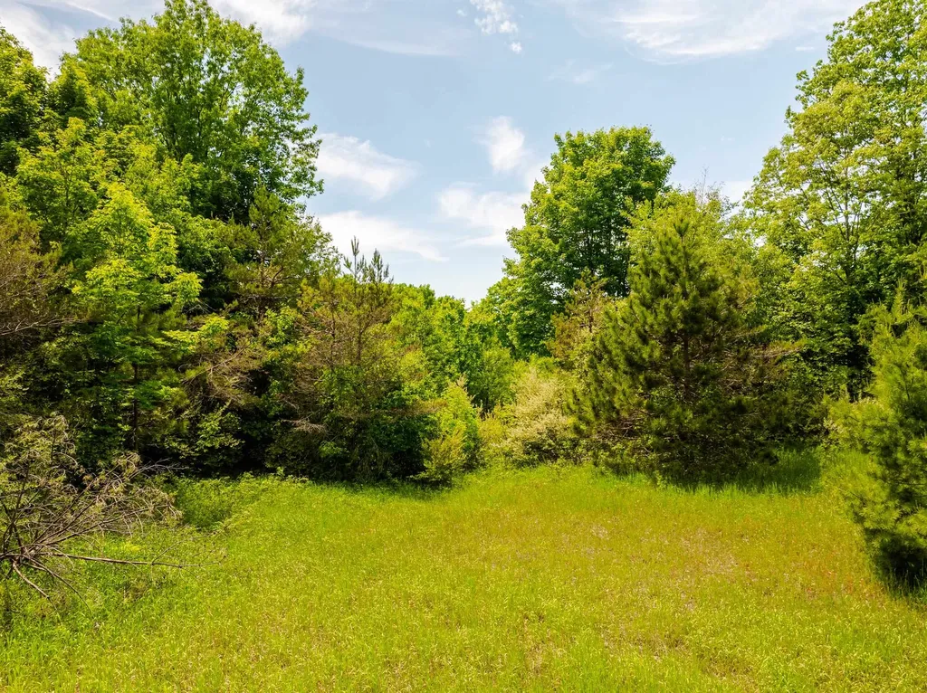 Tbd Traverse Road Colfax Township MI 49683
