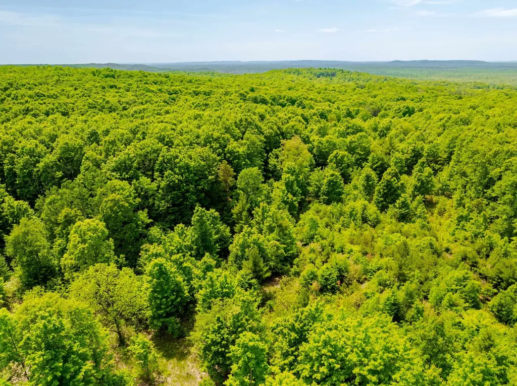 Tbd Traverse Road Colfax Township MI 49683