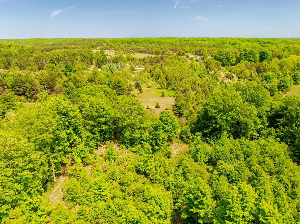 Tbd Traverse Road Colfax Township MI 49683