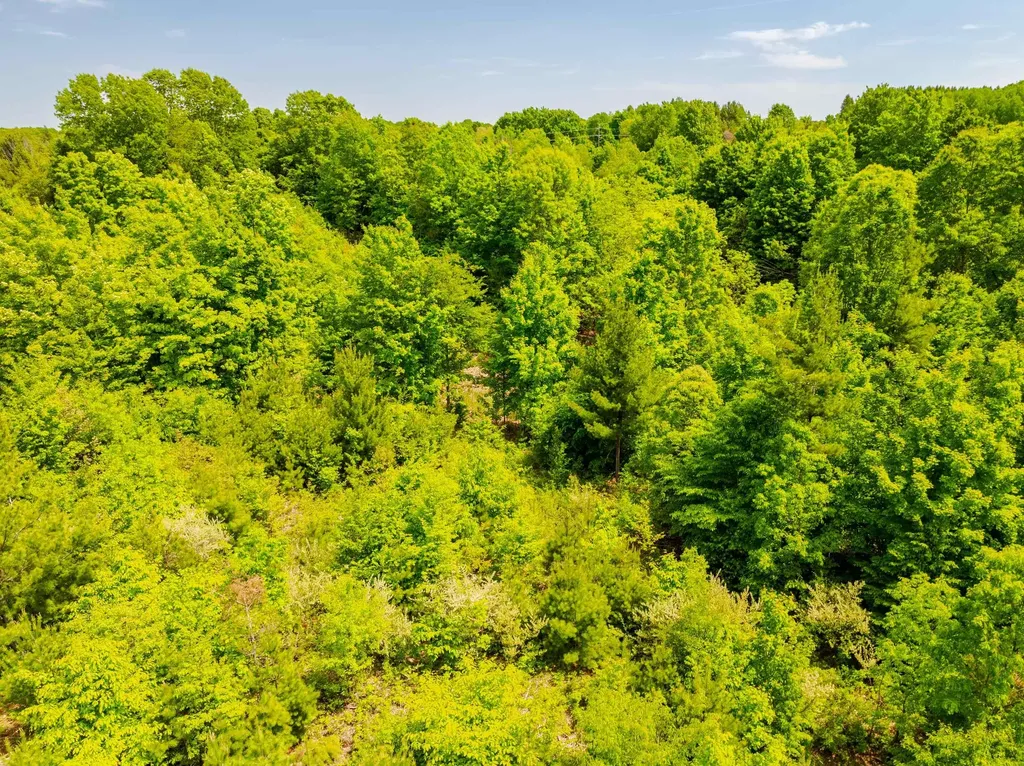 Tbd Traverse Road Colfax Township MI 49683