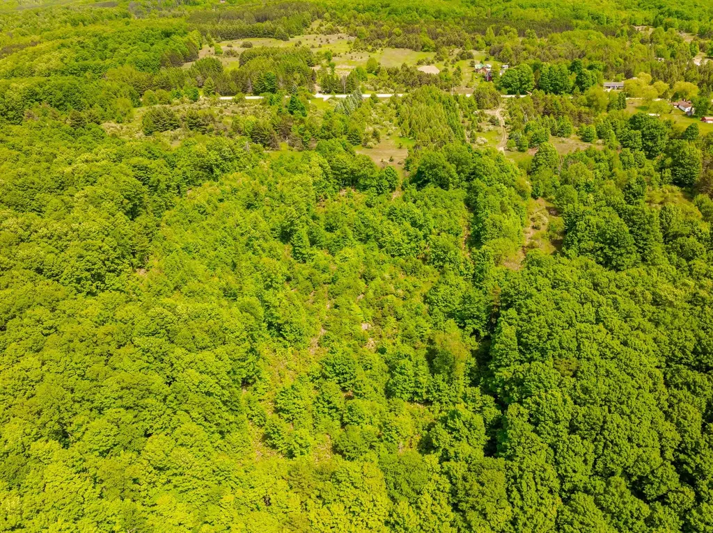 Tbd Traverse Road Colfax Township MI 49683