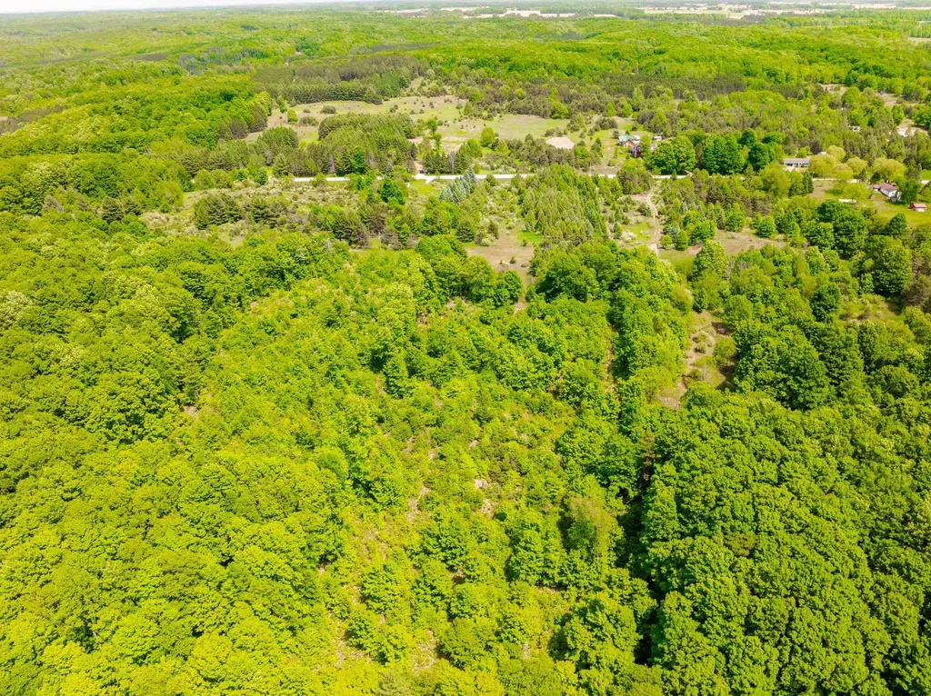 Tbd Traverse Road Colfax Township MI 49683