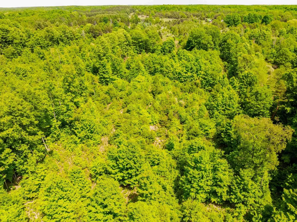 Tbd Traverse Road Colfax Township MI 49683