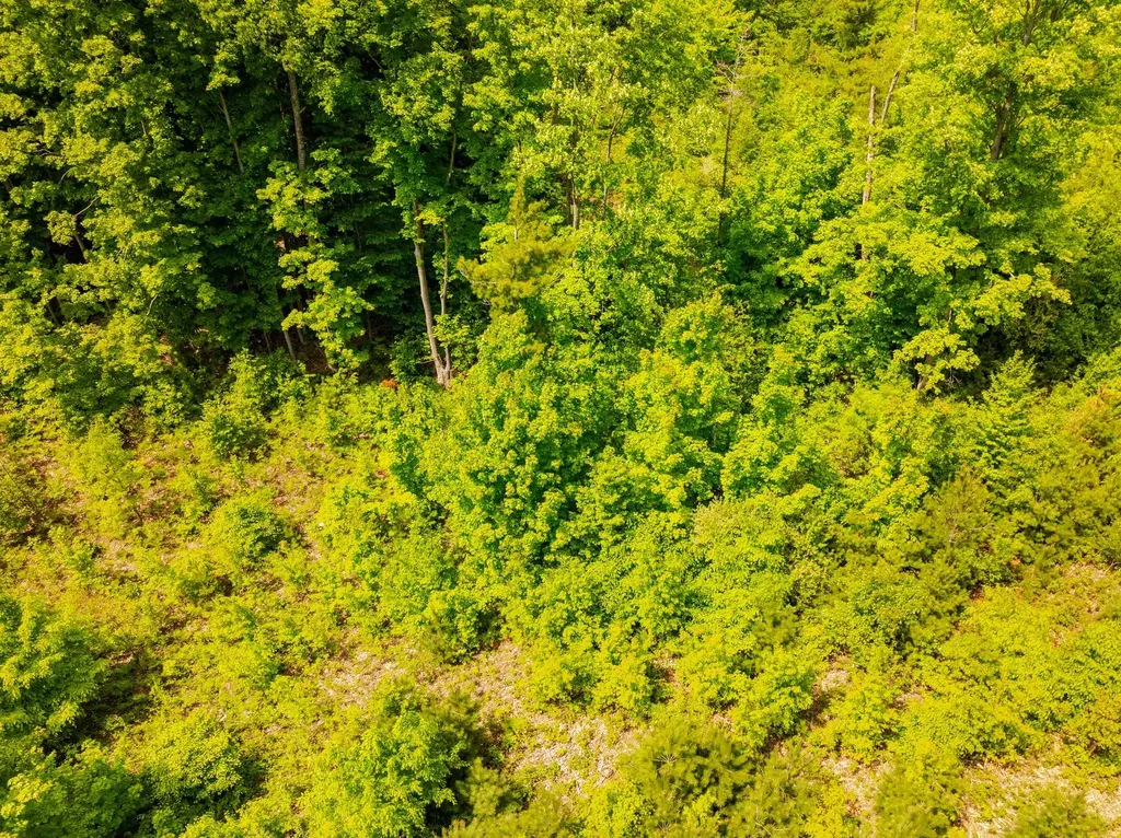 Tbd Traverse Road Colfax Township MI 49683